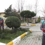 Park ve Yeşil Alan Bakımı